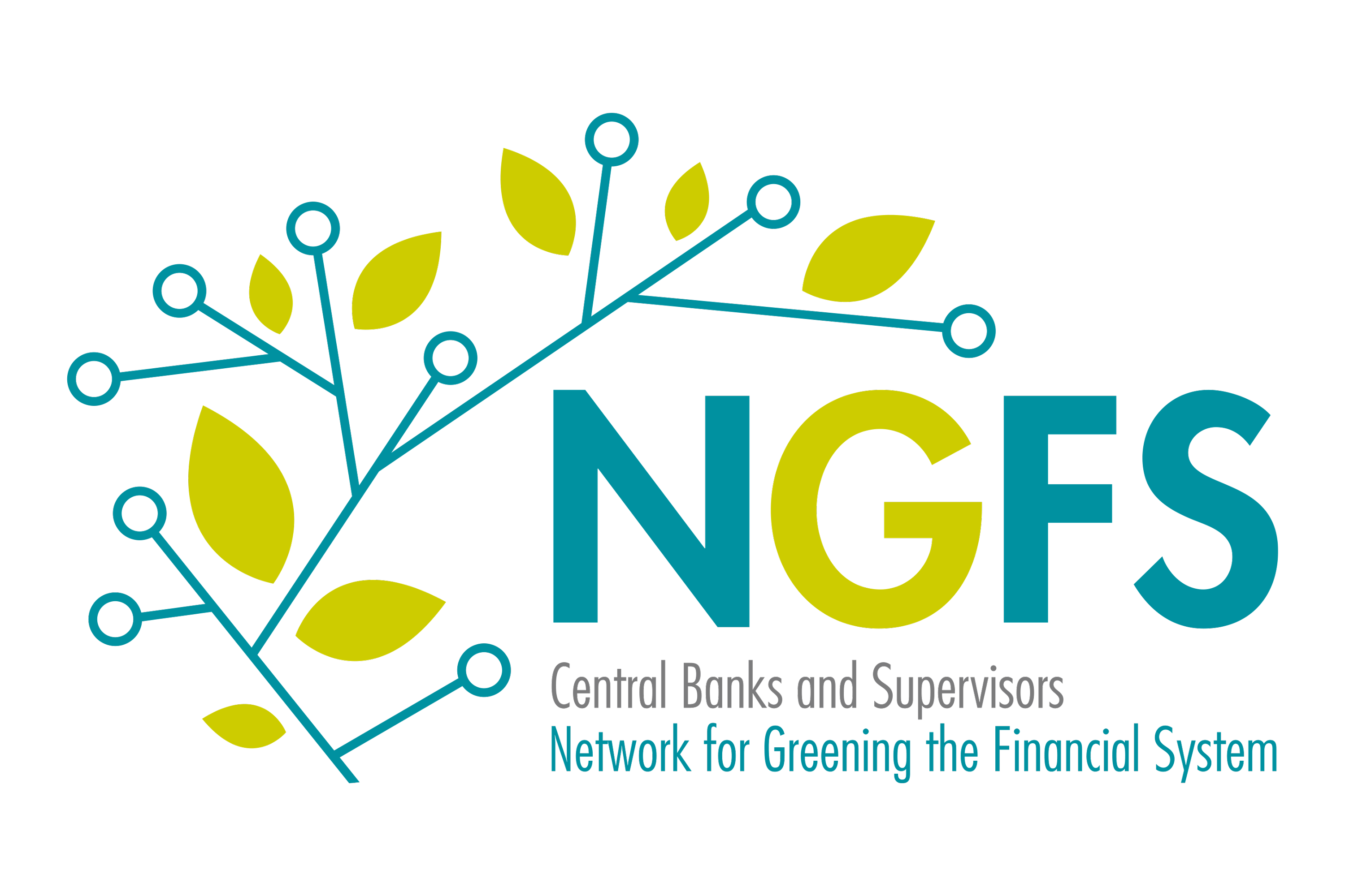 NGFS - Network for Greening the Financial System