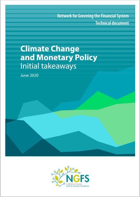 Climate Change and Monetary Policy